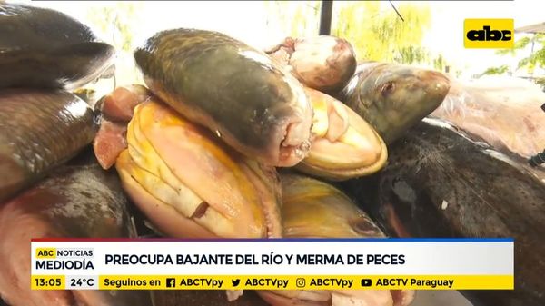 Preocupa bajante del Río y merma de peces - ABC Noticias - ABC Color