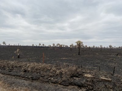 'Hay poblaciones del Chaco que hoy quedaron en la calle': Diputada lamenta incendios en General Bruguez