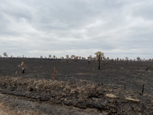 'Hay poblaciones del Chaco que hoy quedaron en la calle': Diputada lamenta incendios en General Bruguez