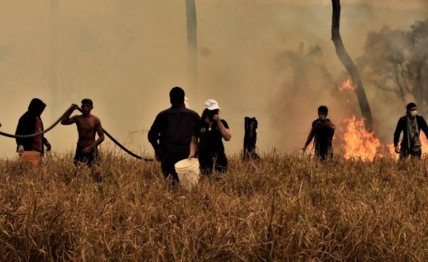 Realizan operativo de rescate de animales afectados por incendios