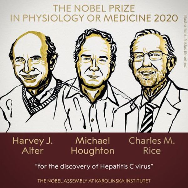 Descubridores del virus de la hepatitis C se llevaron el Nobel de Medicina