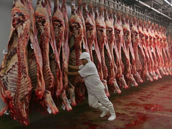 Paraguay ha exportado más de 187 mil toneladas de carne bovina en 2020
