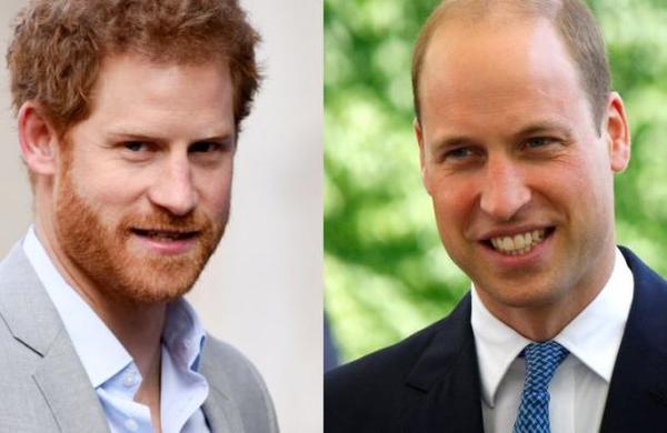 Libro revela los esfuerzos de William para que Harry no se casara con Meghan - SNT