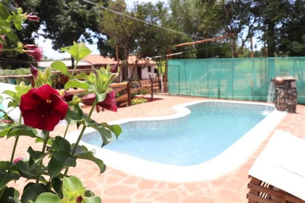 Es difícil que el virus se transmita en el agua de la piscina | Noticias Paraguay