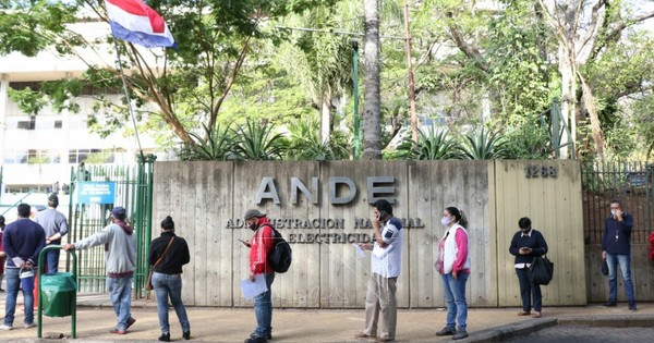 La Nación / Ande recibió el 50% del valor de las facturas exoneradas