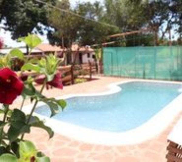 Pileteadas también están habilitadas - Paraguay.com