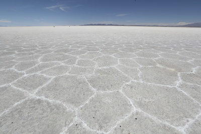 Bolivia plantea invertir 424 millones en un salar para industrializar litio - MarketData