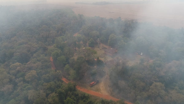 Iniciarán tareas para la restauración de las áreas protegidas afectadas por incendios » Ñanduti