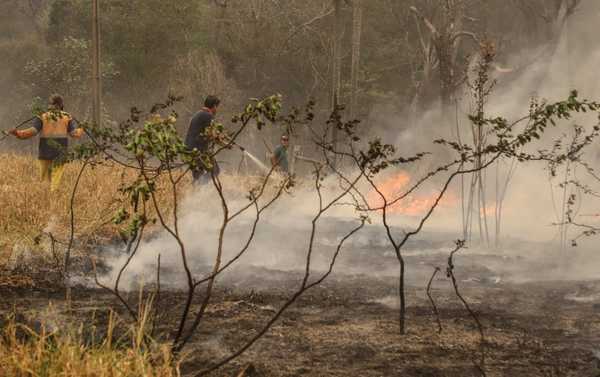 El 90% de los focos de calor registrados la semana pasada fueron provocados