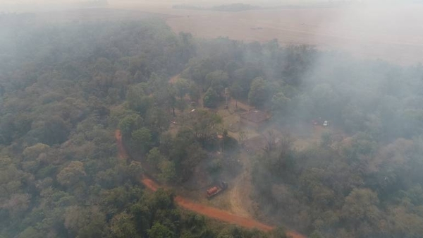 HOY / Inician rehabilitación y restauración de las áreas afectadas por los incendios