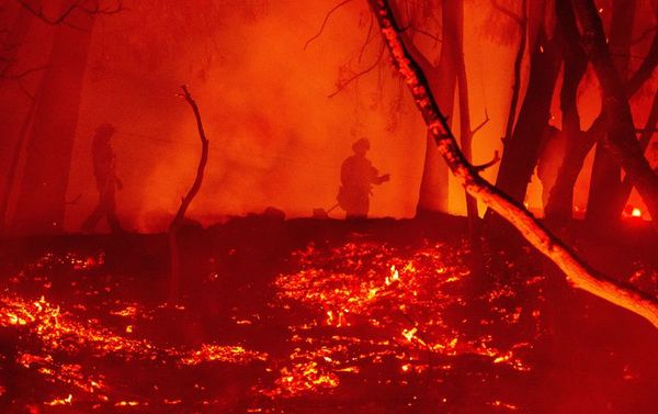 Incendio más grande de la historia de California quema 400 mil hectáreas - Mundo - ABC Color