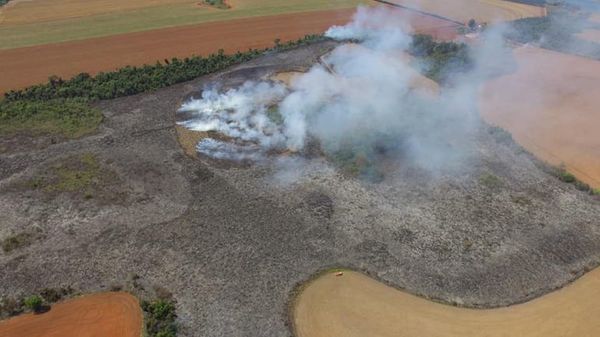 Mades anuncia “recopilación” de datos para “restauración ecológica” tras incendios - Nacionales - ABC Color