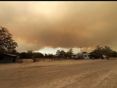 Desde la ARP preocupados por los incendios presuntamente provocados que buscan que hay crisis ambiental