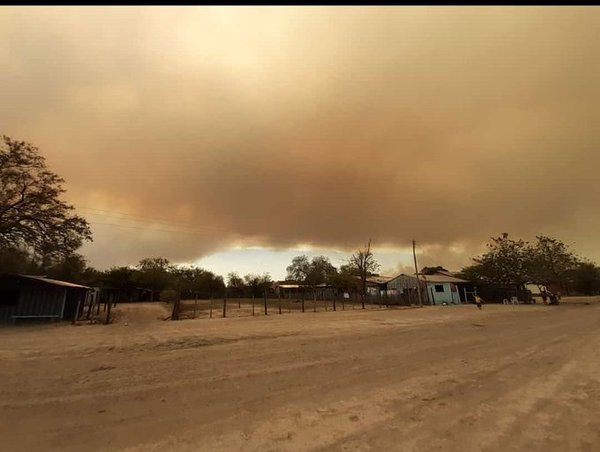 Desde la ARP preocupados por los incendios presuntamente provocados que buscan que hay crisis ambiental