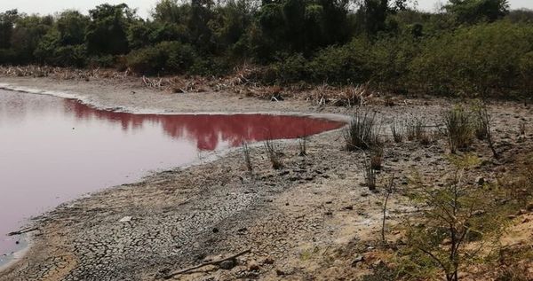 Tema laguna quedó en oparei - Nacionales - ABC Color