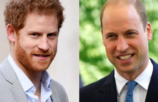 Libro revela los esfuerzos de William para que Harry no se casara con Meghan - C9N