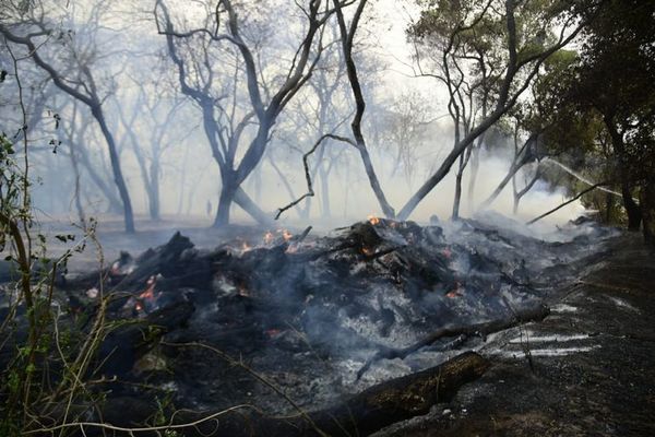 Aumentan nuevamente los focos de incendio en el país - Nacionales - ABC Color