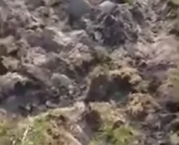 Crónica / (VIDEO) Sale humo de la tierra y recurren a la Rosa Mística por ayuda