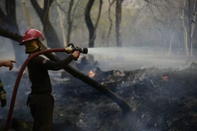 Gobierno no tiene un plan a largo plazo para enfrentar incendios forestales - Nacionales - ABC Color