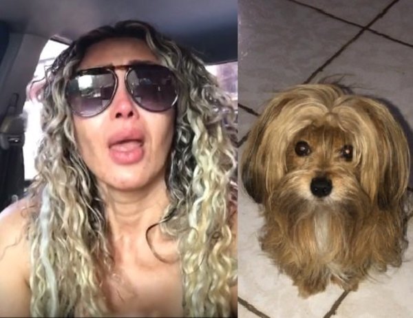 Crónica / (VIDEO) El desesperado pedido de Paola Peralta
