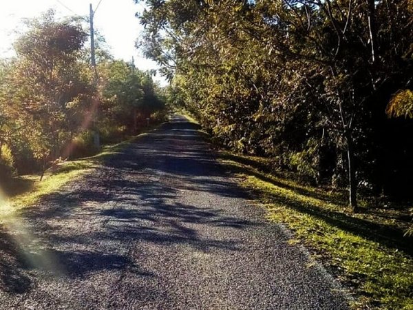 Invitan a participar de conversatorio virtual en defensa de Parque Guasu