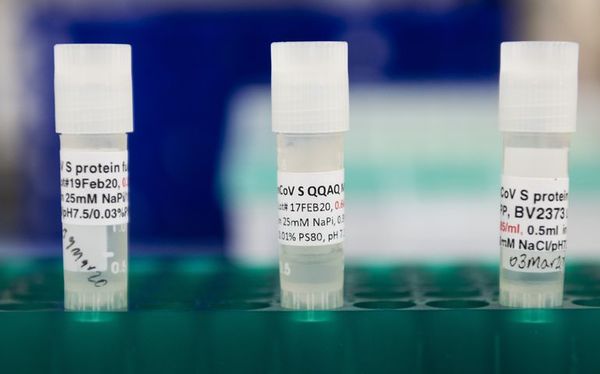 La FDA quiere dos meses de seguimiento antes de aprobar vacuna contra COVID-19 - Mundo - ABC Color