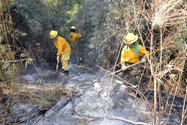 Siguen los incendios en el Parque Caazapá - Nacionales - ABC Color