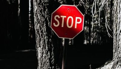 Acuerdo de Escazú: ¿resguarda los derechos ambientales o saca soberanía a Paraguay? 