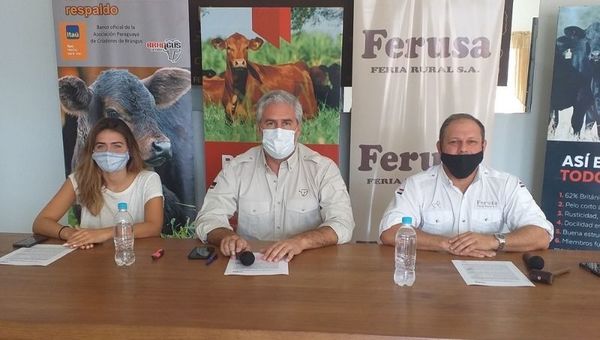 Brangus organiza Nacional del Primavera “Online” (93 ejemplares competirán y serán ofertados)