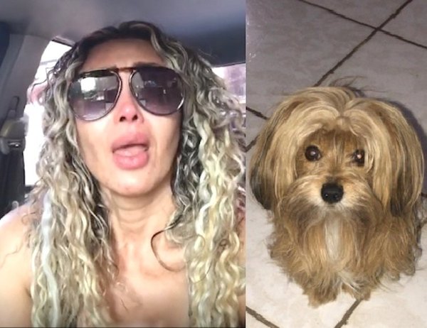 Crónica / Pao pidió sangre para su jagua’i