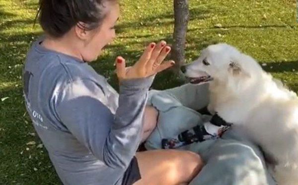 Perra a la que le faltan tres patas corre por primera vez con su prótesis nueva - Mascotas - ABC Color