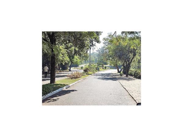 Hay dictamen favorable para la reapertura del Jardín Botánico