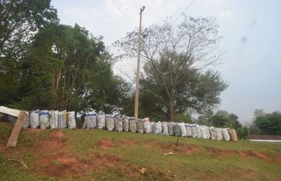 Toneladas de madera nativa son convertidas en carbón en Itapúa - Nacionales - ABC Color