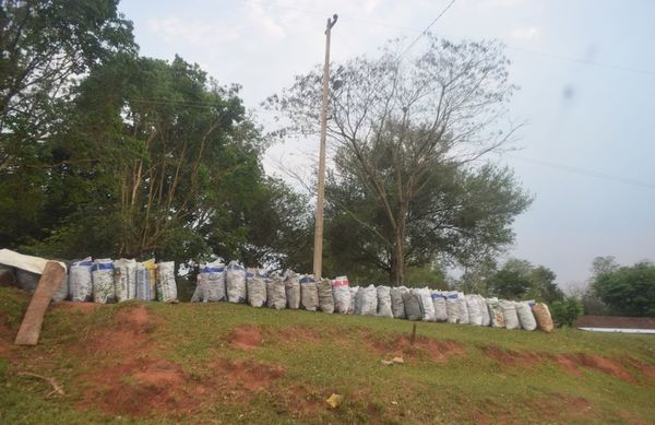 Toneladas de madera nativa son convertidas en carbón en Itapúa - Nacionales - ABC Color