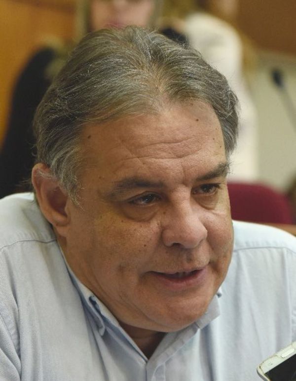Senador rechaza que haya instado a invadir tierras y expulsar a sojeros - Nacionales - ABC Color