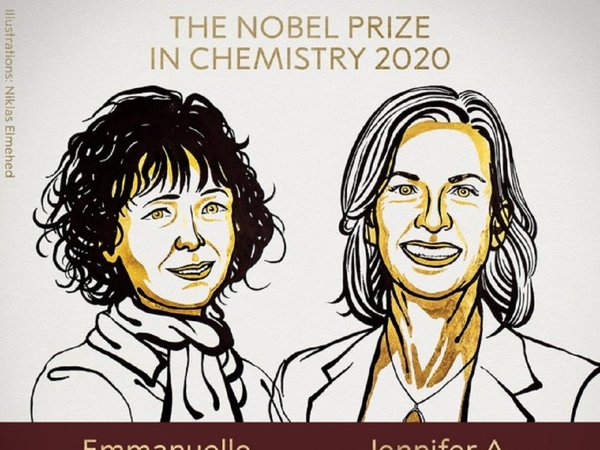 Nobel de Química a dos científicas por reescribir el código de la vida