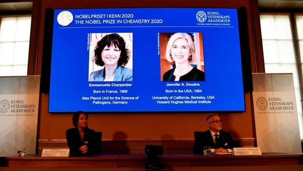 Nobel de Química por desarrollar un método para editar el genoma
