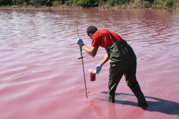 MADES solicita apoyo económico a instituciones estatales para recuperar la Laguna Cerro » Ñanduti