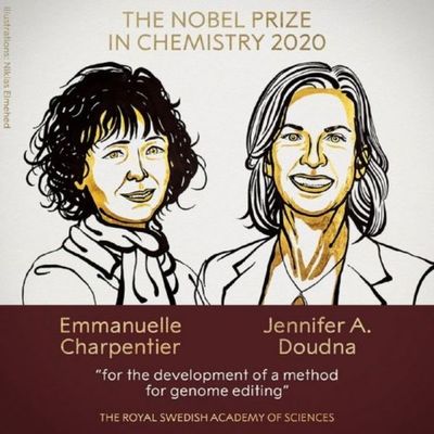 Nobel de Química a dos científicas por reescribir el código de la vida