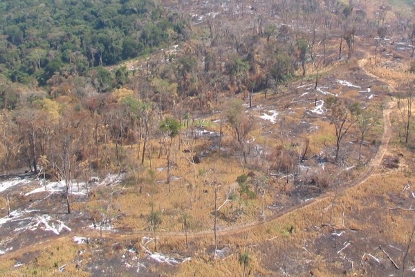 Acuerdo Escazú reforzará y transparentará procesos medioambientales · Radio Monumental 1080 AM