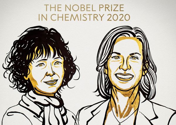 Dos investigadoras ganan el Premio Nobel en Química por “reescribir el código de la vida” - Megacadena — Últimas Noticias de Paraguay