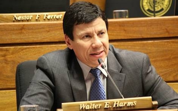 Harms califica de "badulaques, desubicados y oportunistas" a Fernando Lugo, Sixto Pereira y Pedro Santa cruz » Ñanduti