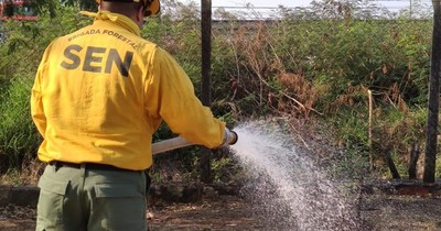 La Nación / Realizan trabajos de enfriamiento en parques para prevenir incendios