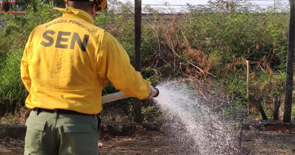La Nación / Realizan trabajos de enfriamiento en parques para prevenir incendios