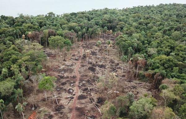 Productores repudian actitud de senadores opositores que incitan a la ocupación de tierras