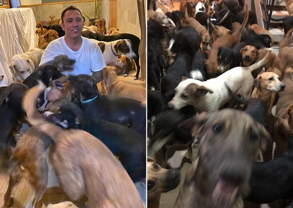 ¡Bondad infinita! Este hombre refugió a todo tipo de animales ante amenaza del huracán Delta - Megacadena — Últimas Noticias de Paraguay