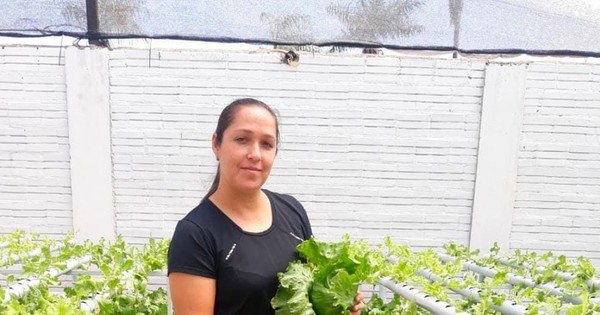 La Nación / Emprendedora quiindyense montó cultivo hidropónico en pequeño patio