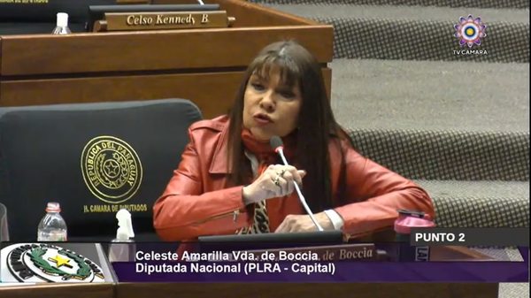 Suspenden a Amarilla por hablar de “dinero sucio” en manos de legisladores - Nacionales - ABC Color
