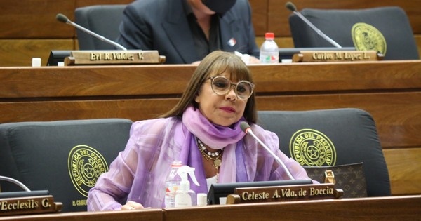 La Nación / Diputados suspenden a Celeste Amarilla por 60 días sin goce de sueldo