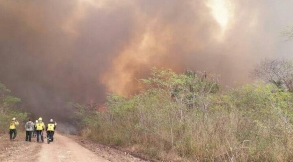 En septiembre fueron registrados más de 53.700 focos de calor en el país » Ñanduti